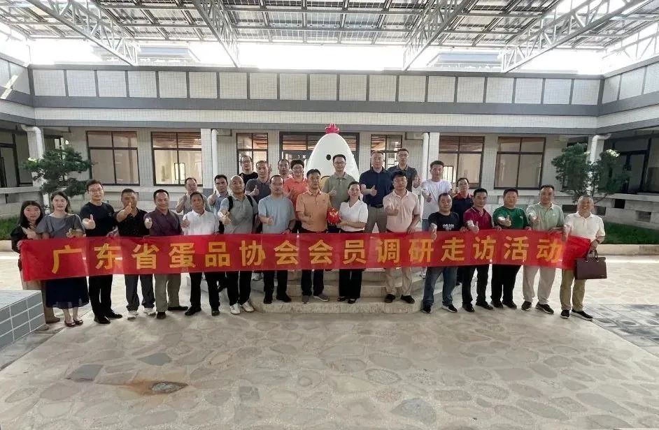 广东省蛋品协会董会长一行走进东东蛋业 || 聚焦无抗养殖与差异化优质发展